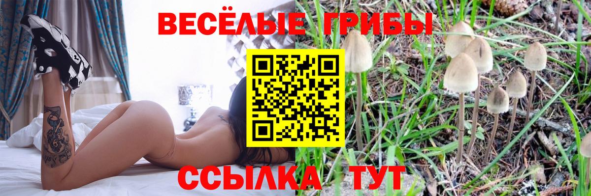 Россошь  Псилоцибиновые грибы Magic Shrooms  Псилоцибиновые грибы Psilocybe  Вход с VPN 